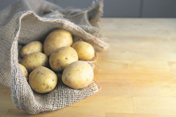 KROMPIR  stock-photo-organic-potatoes-in-an-open-burlap-sack-on-a-wooden-kitchen-table-copy-space-selected-focus-1608525553.jpg