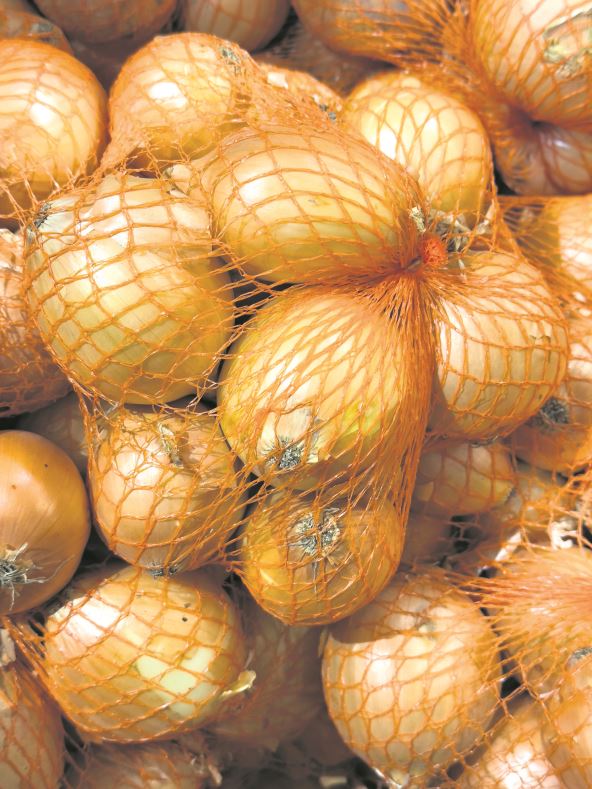 CRNI LUK  stock-photo-golden-onions-in-orange-mesh-bags-close-up-view-of-harvested-bulbs-prepared-for-storage-transport-2674748047.jpg