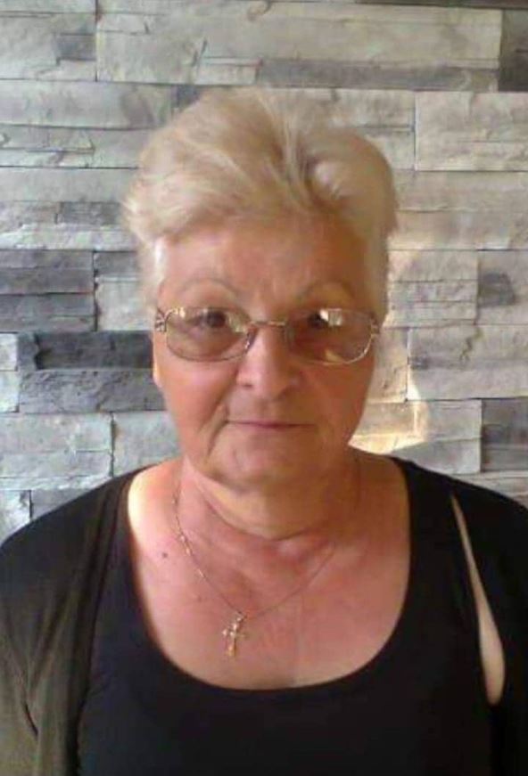 1558753.jpg