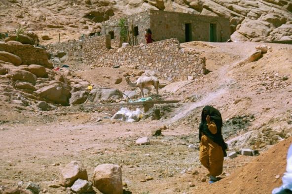 Slobodan Simikić2.jpg