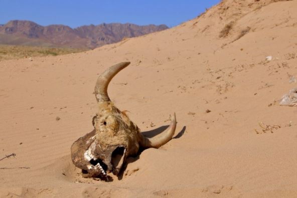 Slobodan Simikić6.jpg