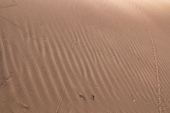 Slobodan Simikić7.jpg