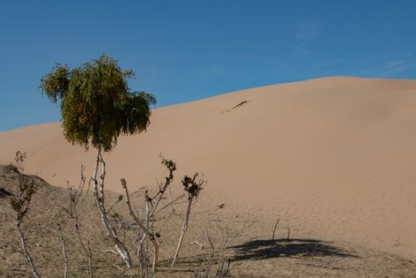 Slobodan Simikić8.jpg