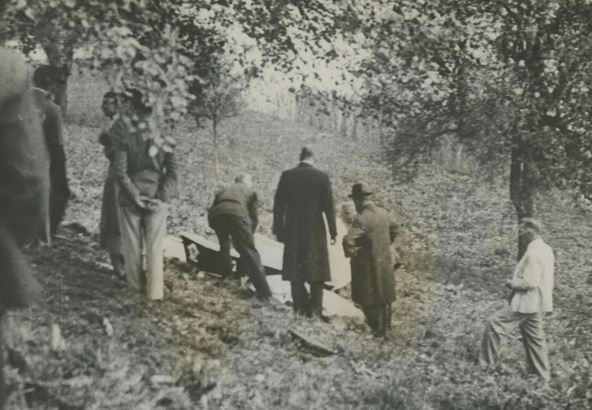 Kralj i kraljica od Belgije