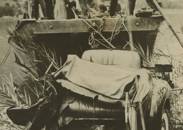 Kralj i kraljica od Belgije