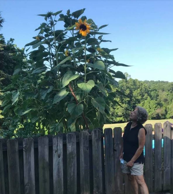 Debora Pram u bašti