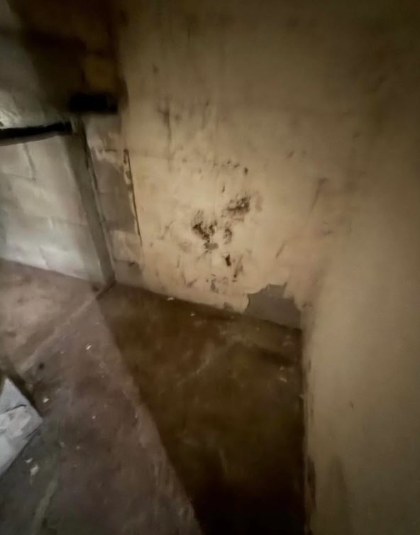 Čovek otkrio tajni podrum