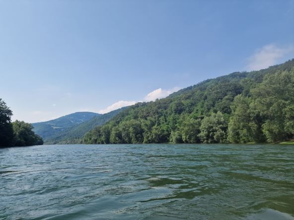 Drina
