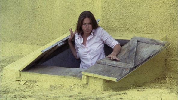 lin-frederik (2).jpg