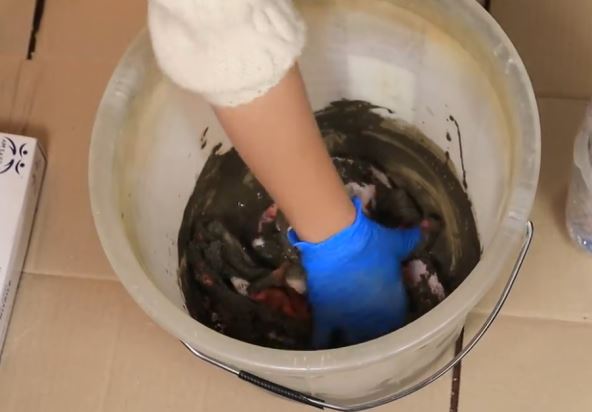 2025-11-27 08_54_18-Window.jpg