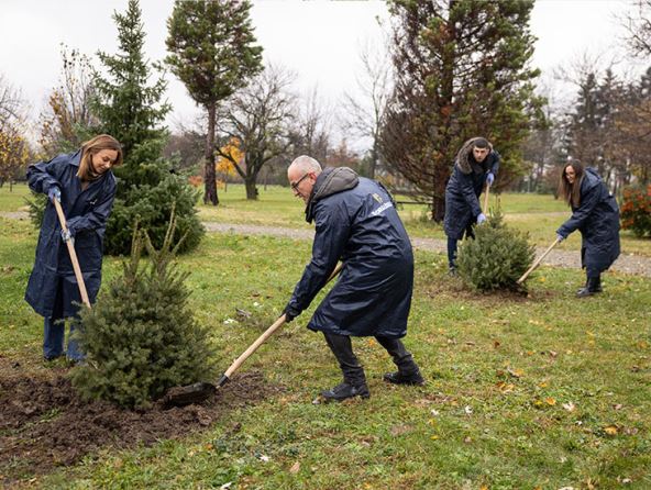 03-730x550-01-copy-2 (2).jpg