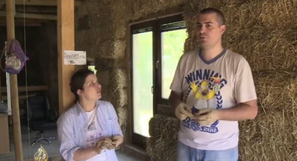 Snimak ekrana (5179).png