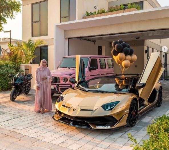 Domaćica iz Dubaija.jpg