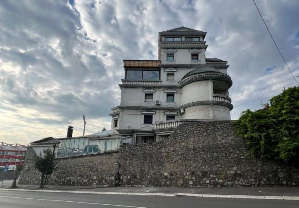 Ceca Ražnatović vila