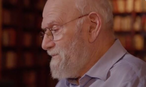 Snimak ekrana (5220).jpg