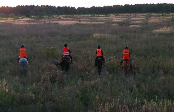 nestanak-savelija (8).png