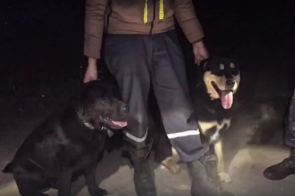 nestanak-savelija (12).png