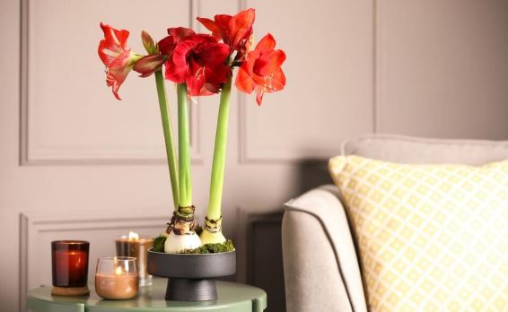 2026-01-30 11_55_47-Window.png