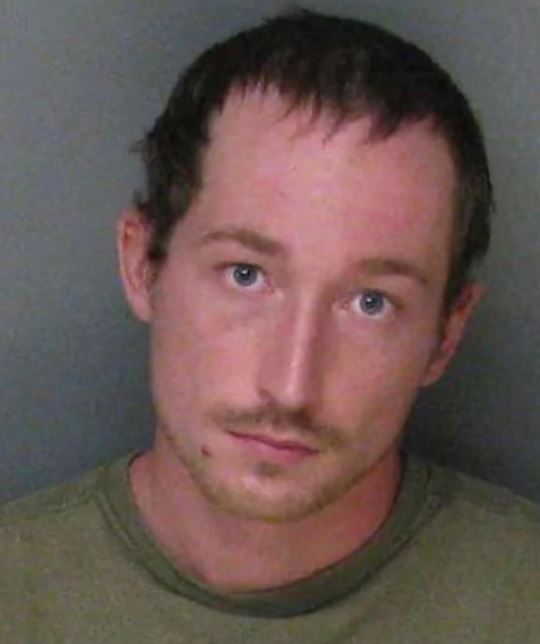 Zlostavljana devojčica 3.png