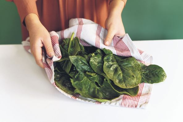 LISNATO POVRCE  stock-photo-woman-holding-spinach-leaves-in-a-towel-1694995312.jpg