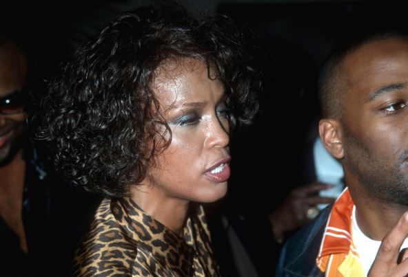 vitni-hjuston (16).jpg