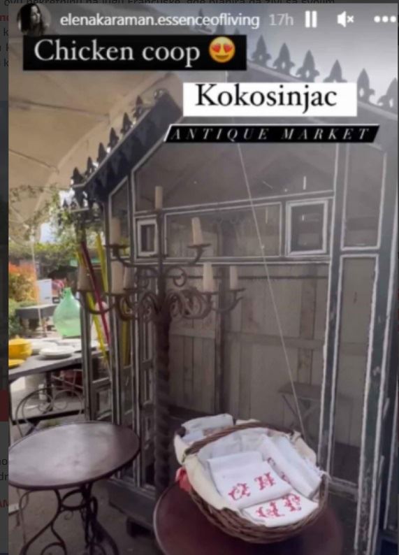 kokošinjac elene karić.jpg