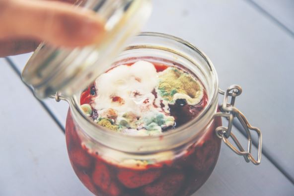stock-photo-the-jam-in-the-jar-is-moldy-selective-focus-food-2699271989.jpg