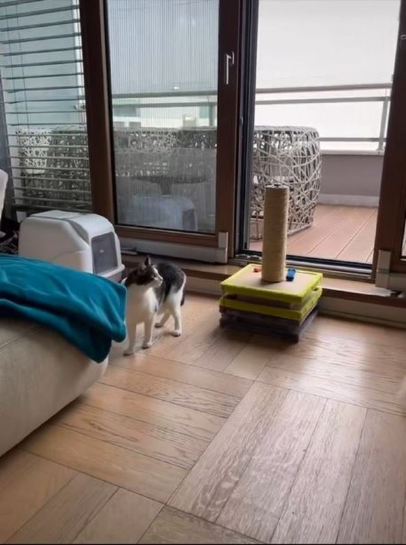 2026-02-24 12_09_40-(9) Instagram.jpg