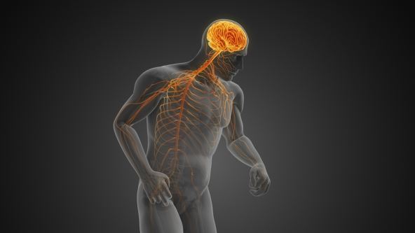 Bolest motornog neurona