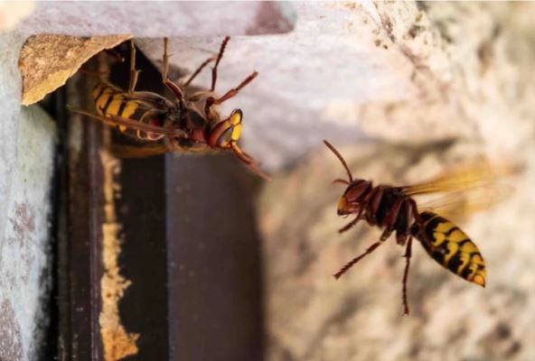 Screenshot 2026-03-12 113718.png