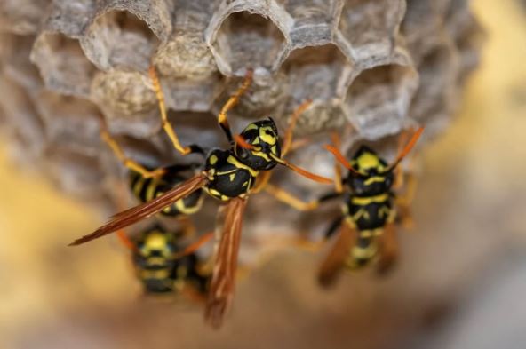 Screenshot 2026-03-12 113705.png