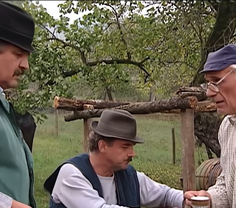 Mirko Babić Radoš Bajić Manda u seriji Selo gori, a baba se češlja