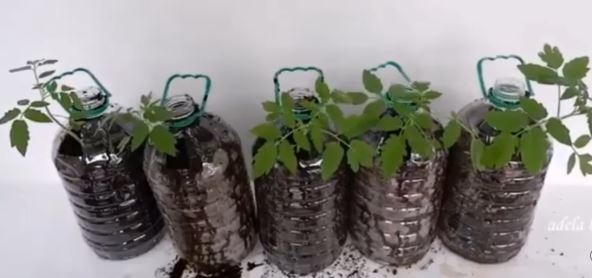 2026-03-20 13_17_23-Window.jpg