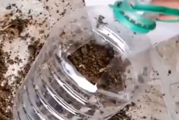 2026-03-20 13_14_29-Window.jpg