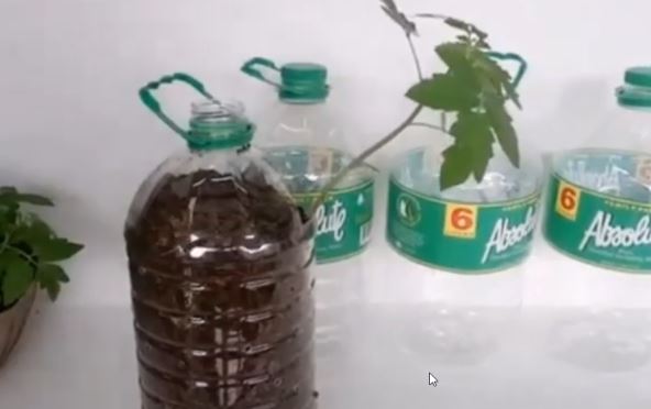 2026-03-20 13_16_32-Window.jpg