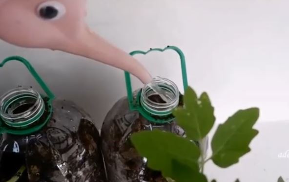 2026-03-20 13_17_15-Window.jpg