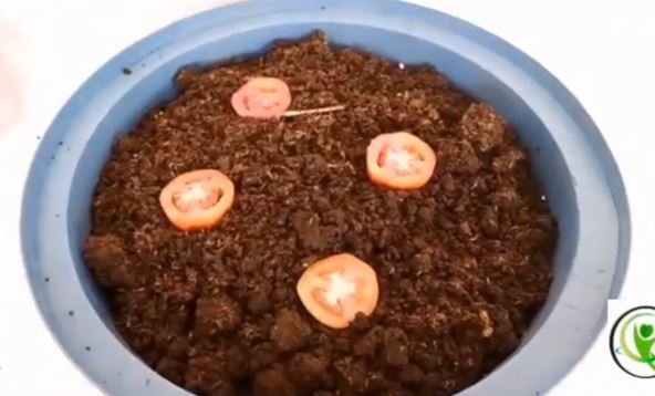 2026-03-20 13_09_52-Window.jpg