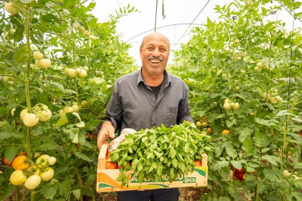 arapske-baste (3).jpg