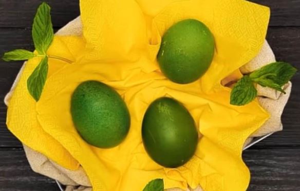 2026-03-24 10_15_16-Window.jpg