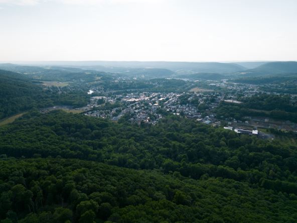 SchuylkillHavenAerial.jpg