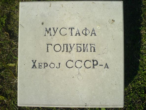 Ploča_Mustafe_Golubića.JPG
