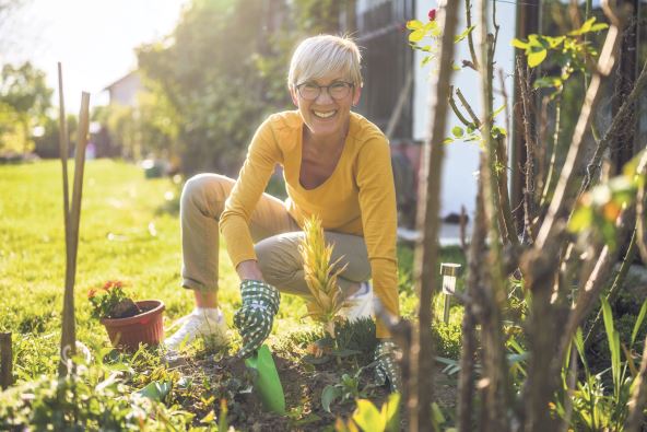 4  RADI STA VOLIS   stock-photo-happy-senior-woman-gardening-in-her-yard-she-is-planting-a-flower-2453538341.jpg