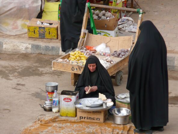 shutterstock_1946187814 - Copy.jpg