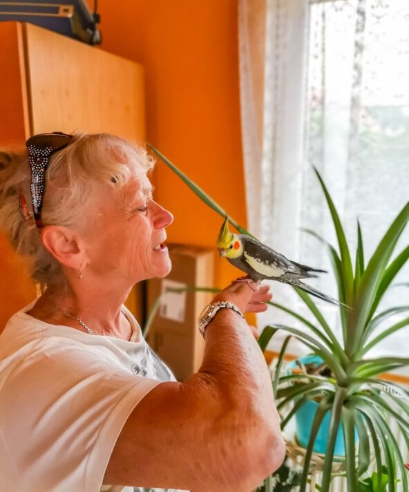 Starija žena sa svojim  ljubimcem kanarincem.jpg