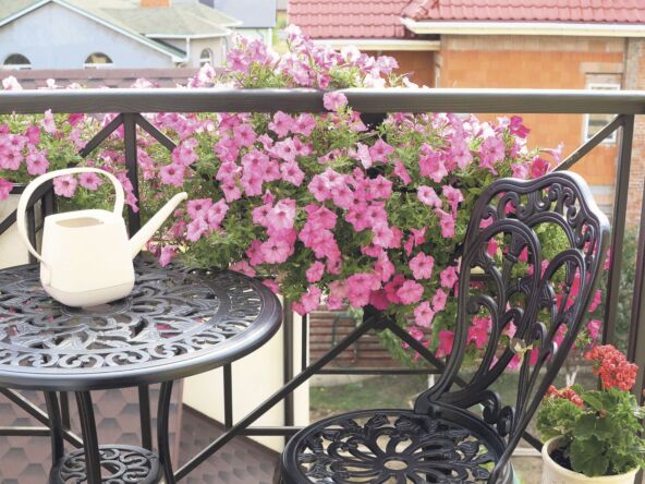 POGRESAN IZBOR BILJAKA  stock-photo-blooming-beautiful-pink-petunia-flowers-and-white-watering-can-stands-on-table-metal-forged-1929144128.jpg