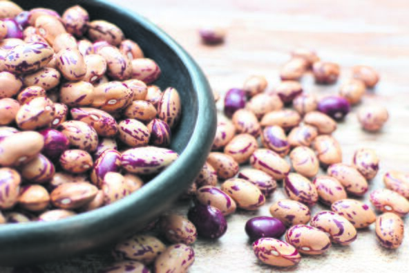 PASULJ  stock-photo-raw-bean-grains-phaseolus-vulgaris-displayed-in-bowl-1665847264.jpg