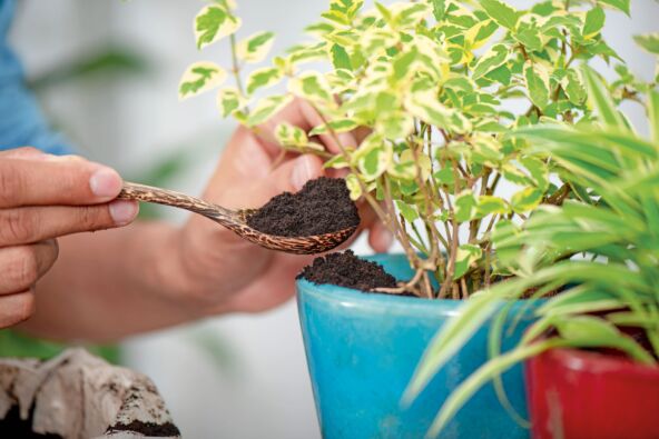 SOC KAFE  stock-photo-recycle-used-coffee-grounds-using-used-coffee-grounds-as-fertilizer-1399545722.jpg