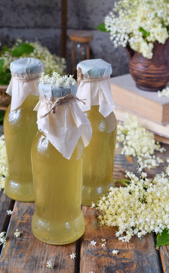 SOK OD ZOVE stock-photo-elderflower-cordial-syrup-and-blossom-flower-in-wooden-background-edible-elderberry-flowers-add-1334189336.jpg