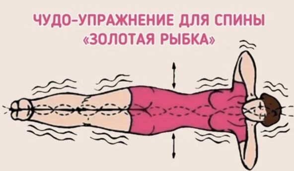 scale_1200 (48).png