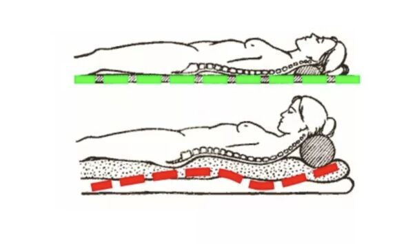 scale_1200 (47).jpg